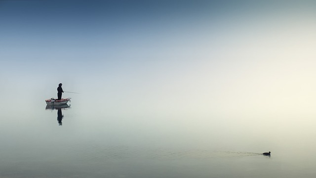 Duiken in de wereld van vissen: soorten, gedrag, visserij en hoe ze te beschermen